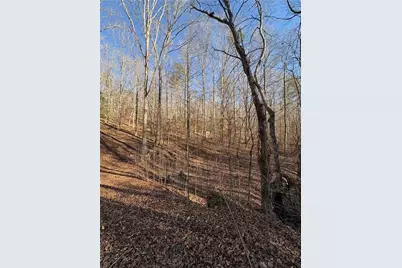 0 Gold View Drive, Dahlonega, GA 30533 - Photo 5