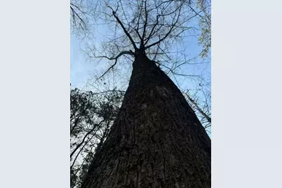 2994 Mt Zion Rd #1, Carrollton, GA 30117 - Photo 5