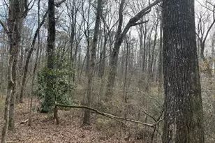 2994 Mt Zion Rd, Carrollton, GA 30117 - Photo 1