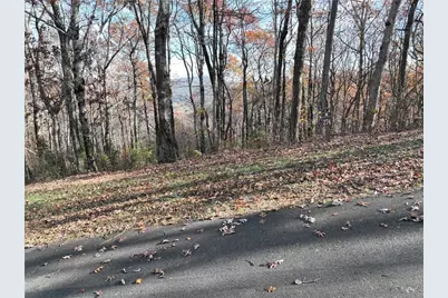 274 Andes Ridge, Ellijay, GA 30536 - Photo 43