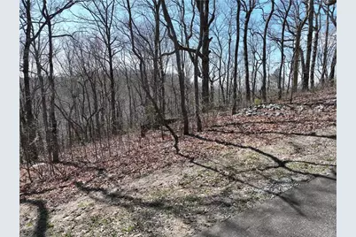 274 Andes Ridge, Ellijay, GA 30536 - Photo 33