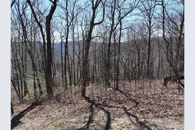 274 Andes Ridge, Ellijay, GA 30536 - Photo 3