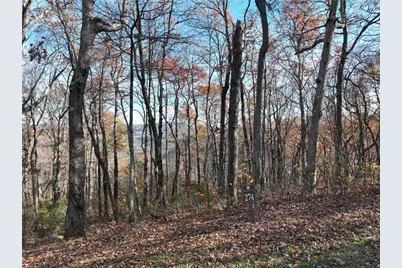 274 Andes Ridge, Ellijay, GA 30536 - Photo 51