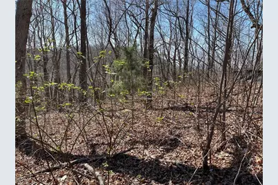 274 Andes Ridge, Ellijay, GA 30536 - Photo 47