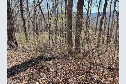 274 Andes Ridge, Ellijay, GA 30536 - Photo 45