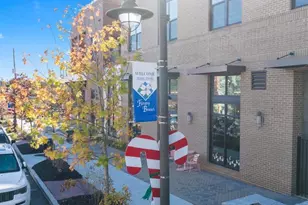 6745 Leigh St, Flowery Branch, GA 30542 - Photo 113