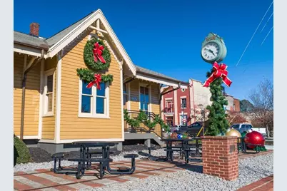 6745 Leigh Street, Flowery Branch, GA 30542 - Photo 99