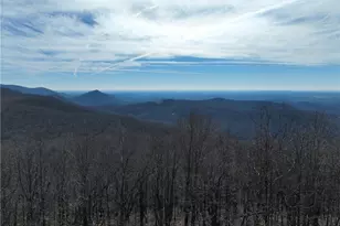 256 Blood Root Trl, Ellijay, GA 30536 - Photo 1