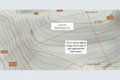 256 Blood Root Trail, Ellijay, GA 30536 - Photo 3