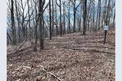 256 Blood Root Trail, Ellijay, GA 30536 - Photo 23