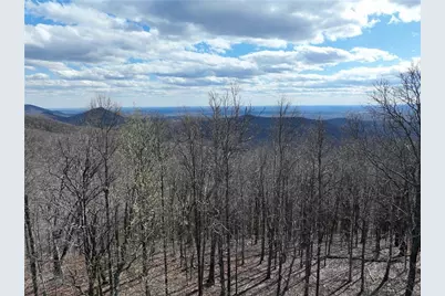 256 Blood Root Trail, Ellijay, GA 30536 - Photo 51