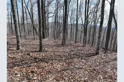 256 Blood Root Trail, Ellijay, GA 30536 - Photo 17