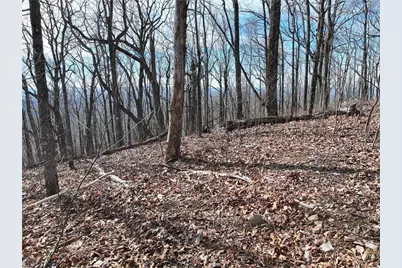 256 Blood Root Trail, Ellijay, GA 30536 - Photo 21