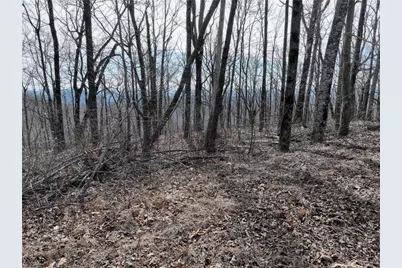 256 Blood Root Trail, Ellijay, GA 30536 - Photo 25