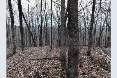 256 Blood Root Trail, Ellijay, GA 30536 - Photo 19