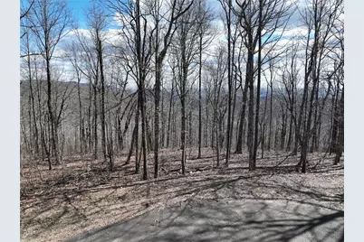 256 Blood Root Trail, Ellijay, GA 30536 - Photo 55