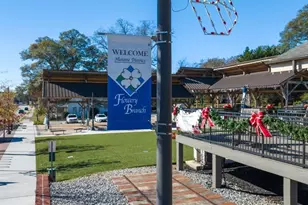 6737 Leigh St, Flowery Branch, GA 30542 - Photo 97