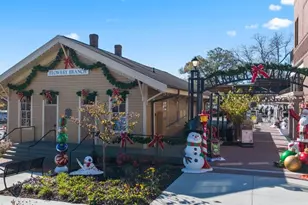 6737 Leigh St, Flowery Branch, GA 30542 - Photo 109