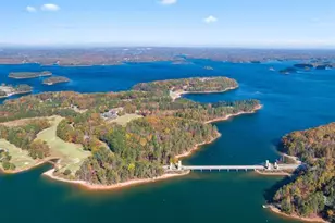 6737 Leigh St, Flowery Branch, GA 30542 - Photo 89