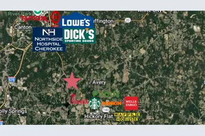 3806 Hickory Flat Highway, Canton, GA 30115 - Photo 3