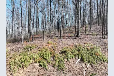 180 Trailwood Drive, Ellijay, GA 30536 - Photo 9