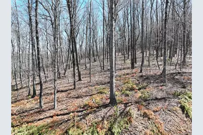 180 Trailwood Drive, Ellijay, GA 30536 - Photo 17