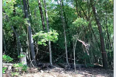 0.68 Valley View, Ellijay, GA 30536 - Photo 1