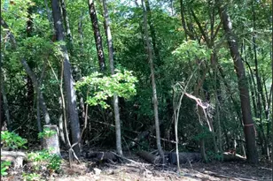 0 68 Valley View, Ellijay, GA 30536 - Photo 1