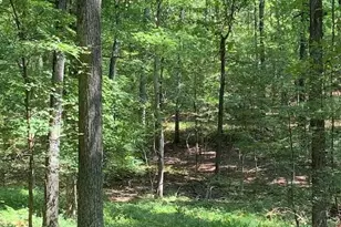 550 Freeman Ferry Rd SE, Rome, GA 30161 - Photo 57