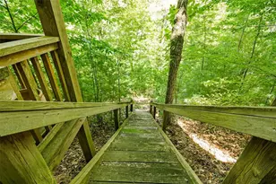 250 Meadow Ln, Talking Rock, GA 30175 - Photo 41