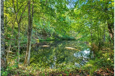 221 McAllister Road, Cornelia, GA 30531 - Photo 7