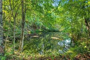 221 McAllister Rd, Cornelia, GA 30531 - Photo 7