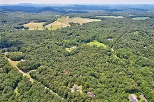 52 Homer Wright Rd, Ellijay, GA 30536 - Photo 3