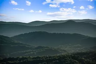 520 Overlook Dr, Blue Ridge, GA 30513 - Photo 69