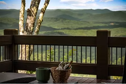 520 Overlook Drive, Blue Ridge, GA 30513 - Photo 51