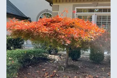 14430 Wyndham Farms Drive, Milton, GA 30004 - Photo 55