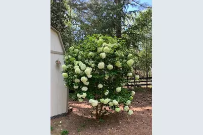 14430 Wyndham Farms Drive, Milton, GA 30004 - Photo 57