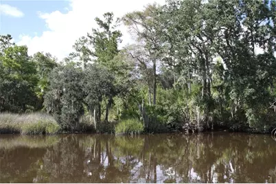 0 Iron Safe Road, Brunswick, GA 31523 - Photo 21