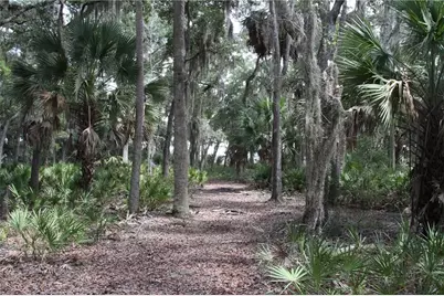 0 Iron Safe Road, Brunswick, GA 31523 - Photo 13