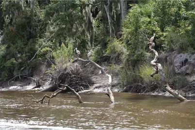 0 Iron Safe Road, Brunswick, GA 31523 - Photo 19