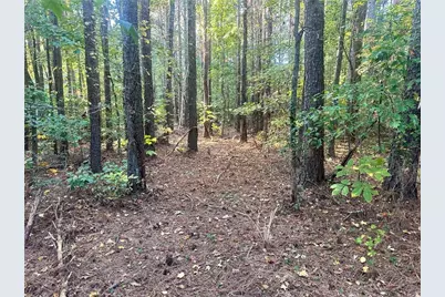 000 Us-411, Rydal, GA 30171 - Photo 13