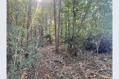 000 Us-411, Rydal, GA 30171 - Photo 11