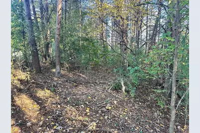 000 Us-411, Rydal, GA 30171 - Photo 15