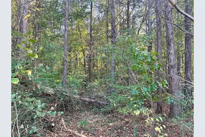 000 Us-411, Rydal, GA 30171 - Photo 17