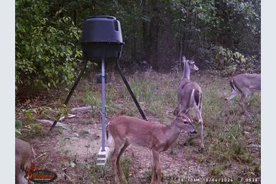 1330 Yonah Homer Road, Maysville, GA 30558 - Photo 53