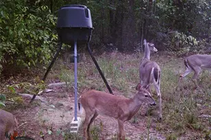 1330 Yonah Homer Rd, Maysville, GA 30558 - Photo 53