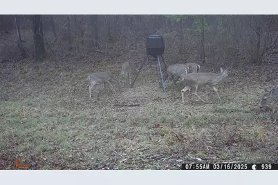 1330 Yonah Homer Road, Maysville, GA 30558 - Photo 51