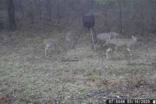 1330 Yonah Homer Rd, Maysville, GA 30558 - Photo 51