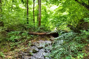 0 Hwy 76 E, Clayton, GA 30525 - Photo 1