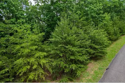 301 Ridgeside Court, Jasper, GA 30143 - Photo 19